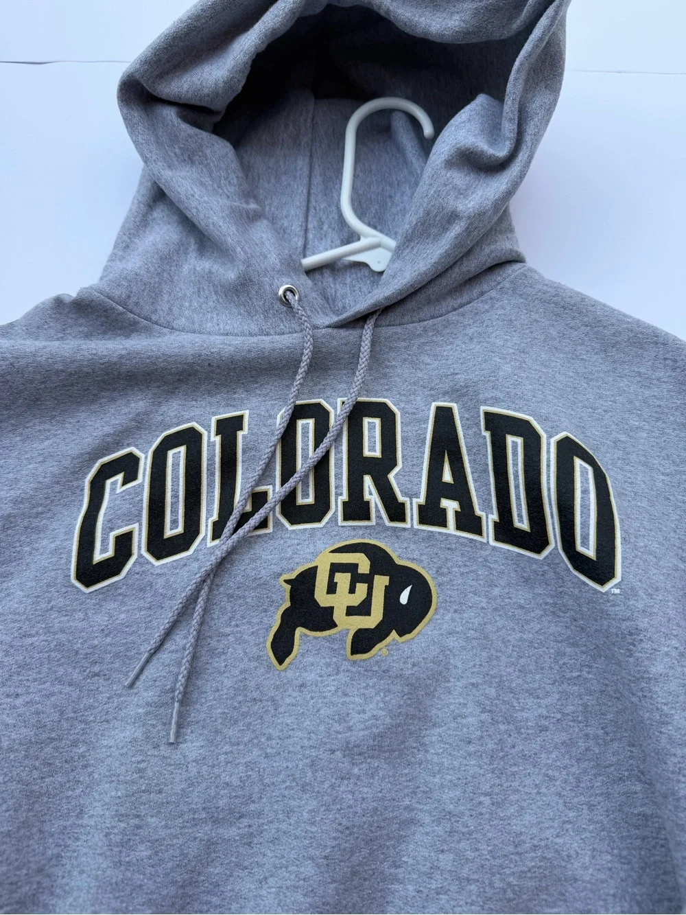 Champion pullover hoodie